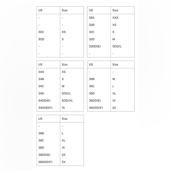 For Love and Lemons corset - Picture 5 of 5